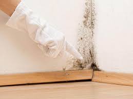 Best Residential Mold Inspection & Testing  in Electra, TX